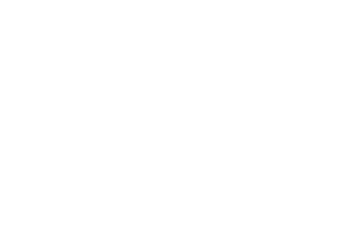セーザイゲーム